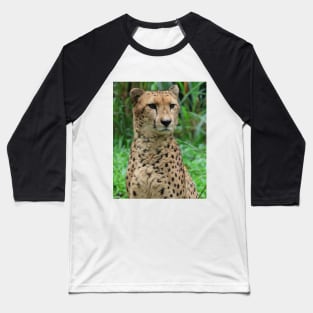 Cheetah 2 Baseball T-Shirt